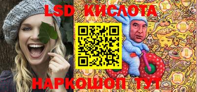 шишки Кандалакша