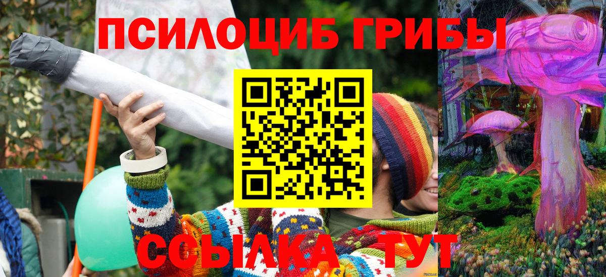 Галлюциногенные грибы GOLDEN TEACHER Заринск